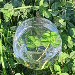 4 leaf clover pair