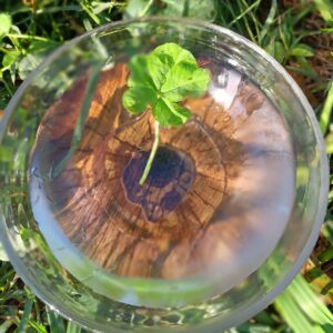 5 leaf clover