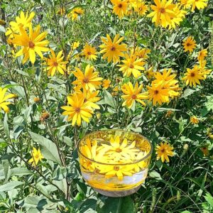 Sunchoke